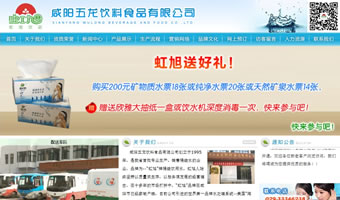 咸阳五龙饮料食品有限公司