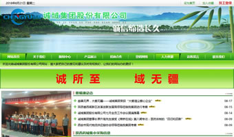 诚域集团股份有限公司