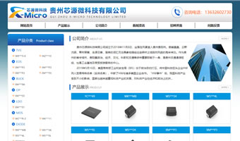 贵州芯源微科技有限公司